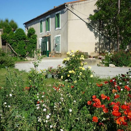 Virevent Villa Carcassonne Exterior photo